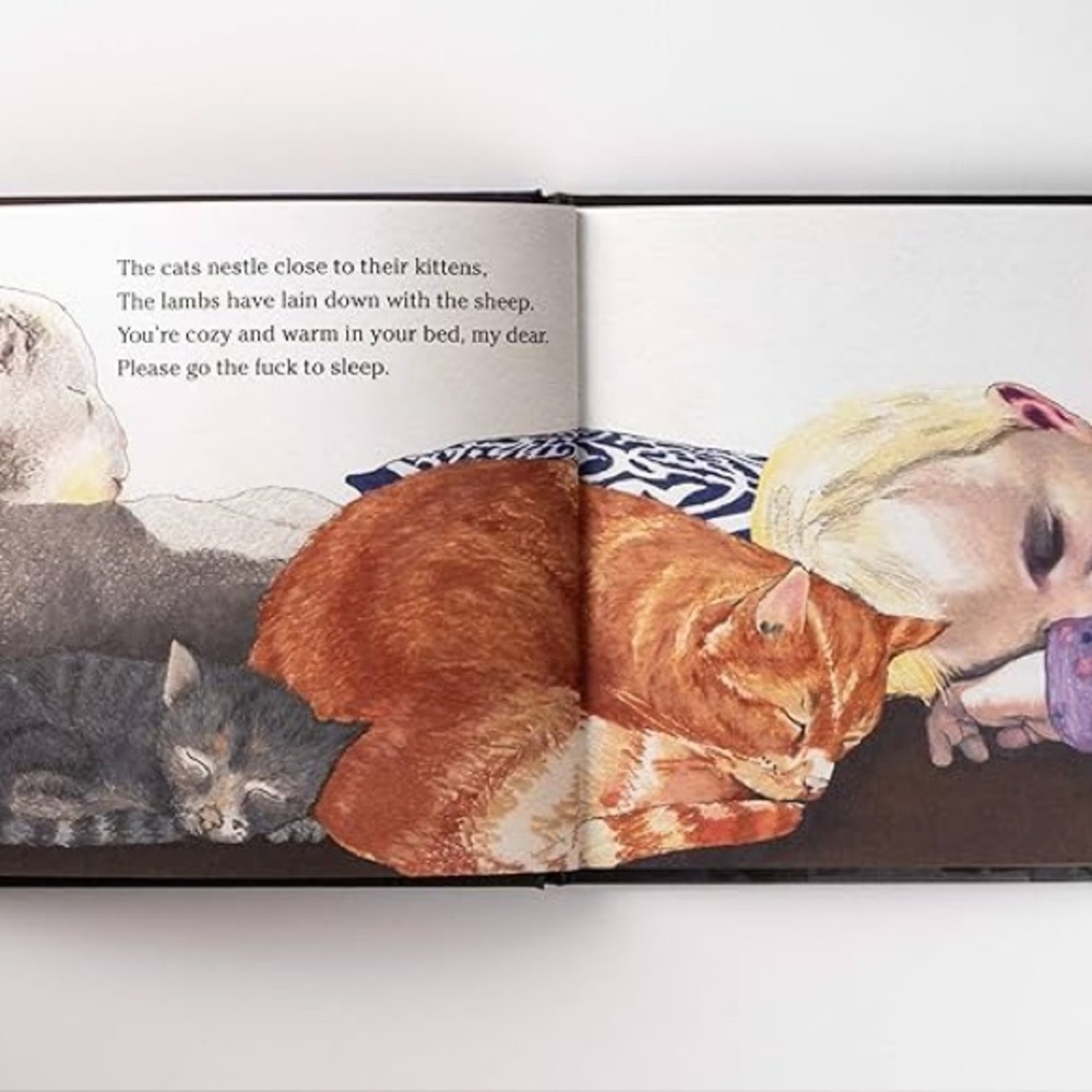 Go The F🌑k To Sleep Book NEW - Picture 2 of 9